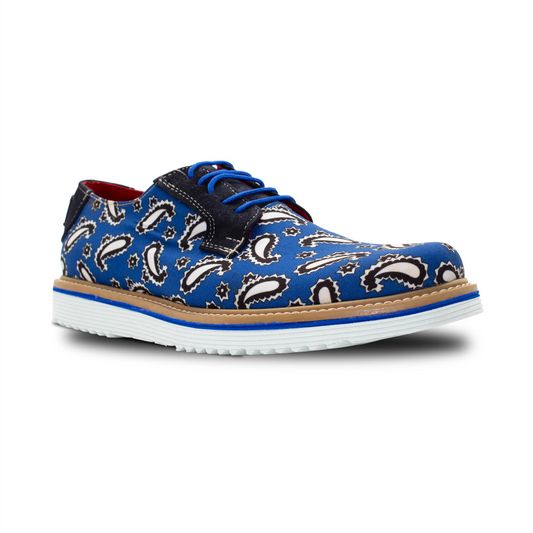 RA-04 BLUE AMIBAS