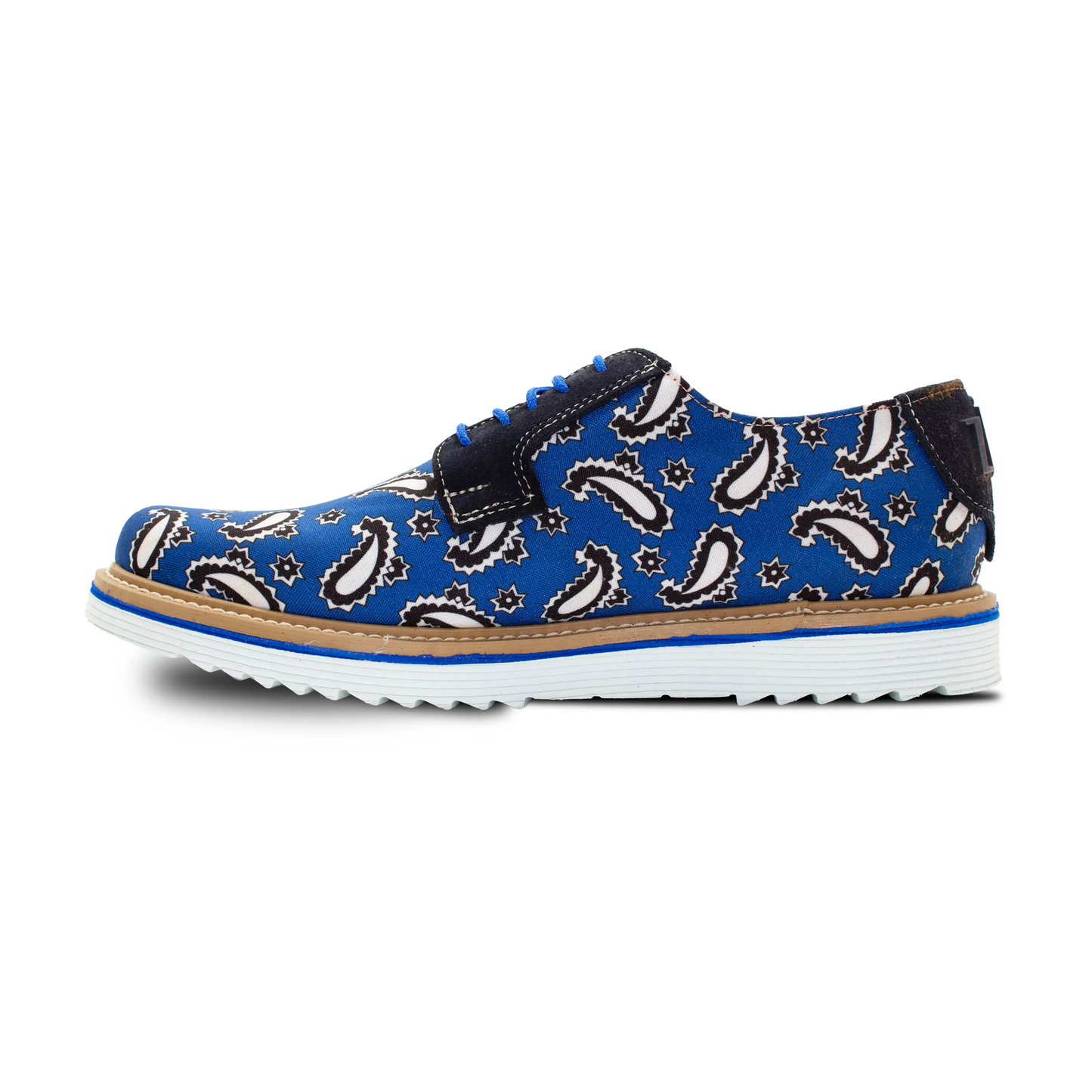 RA-04 BLUE AMIBAS